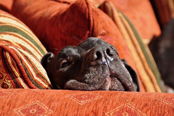 med_Endlich Ruhe.jpg (600 x 399)